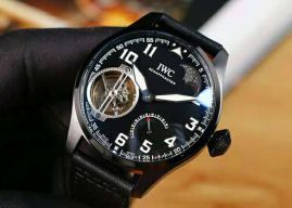 Picture of IWC Watch _SKU1795747854451532